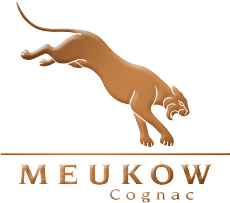 Meukow House 